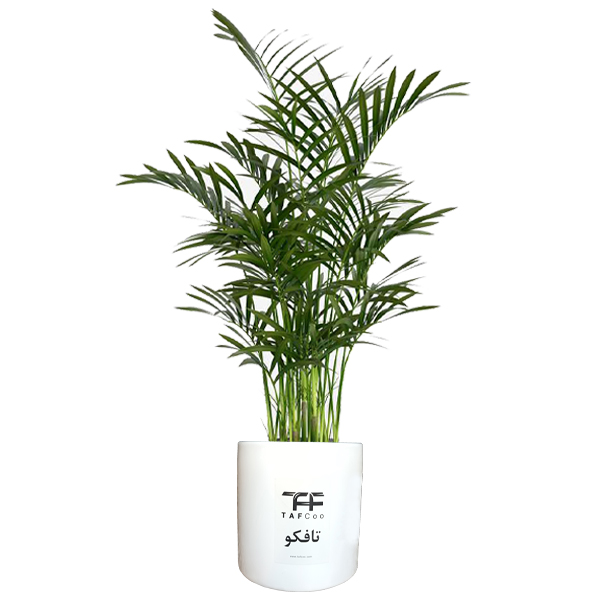 گلدان به همراه گل مصنوعی طرح ارکیده مدل 14020113 برند سپید