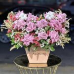 باکس گل رز صورتی خاص و چشم‌نواز