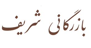 logo-shbizظ